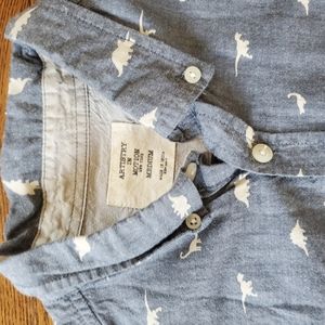 Dino Shirt - Artistry in Motion medium button up